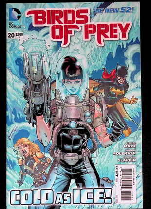 Birds of Prey (2011 3rd Series) #20 - Mycomicshop.be