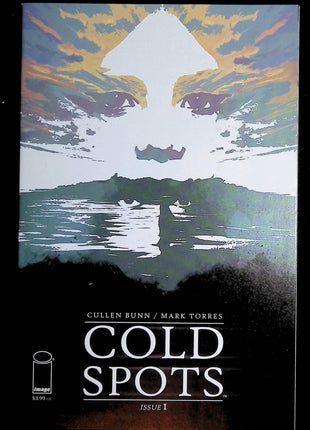 Cold Spots (2018) #1 - Mycomicshop.be