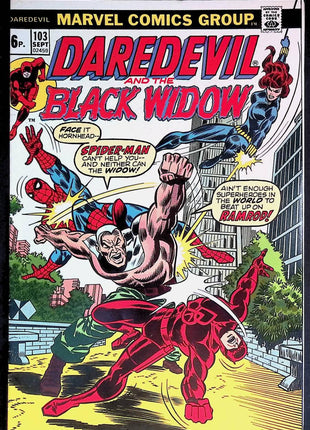 Daredevil (1964 1st Series) 103 - Mycomicshop.be