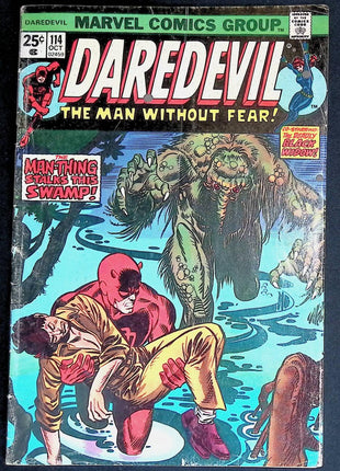 Daredevil (1964 1st Series) #114 - Mycomicshop.be