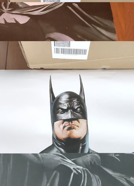 DC Direct Oversized Door Poster (22"x58") Batman (Alex Ross) - Mycomicshop.be