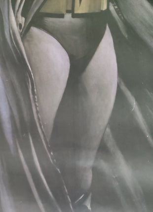 DC Direct Oversized Door Poster (22"x58") Batman (Alex Ross) - Mycomicshop.be
