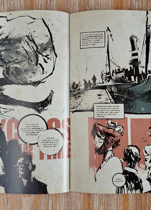 FI The Journal of Ashley Wood Alternate Cover (IDW, 2010) Paperback - Mycomicshop.be