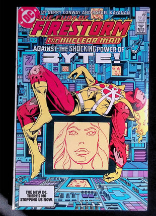 Firestorm (1982 2nd Series) #23 - Mycomicshop.be