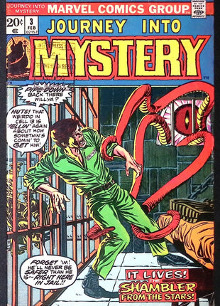 Journey into Mystery (1972 2nd series) #3 - Mycomicshop.be