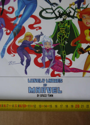 Lovely Ladies Of Marvel Lithograph - Bruce Timm - Mycomicshop.be