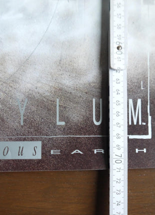Poster Arkham Asylum: A Serious House on Serious Earth 1989 Dave McKean - Mycomicshop.be