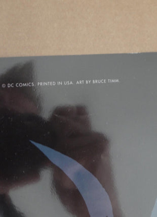 Poster Batman and Superman Adventures World's Finest - Bruce Timm - Mycomicshop.be