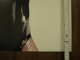 Poster Black Canary 2000 Alex Ross - Mycomicshop.be