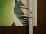 Poster Green Lantern 2000 Alex Ross - Mycomicshop.be