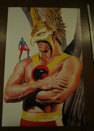 Poster Hawkman 2000 Alex Ross - Mycomicshop.be
