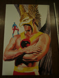 Poster Hawkman 2000 Alex Ross - Mycomicshop.be