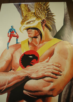 Poster Hawkman 2000 Alex Ross - Mycomicshop.be