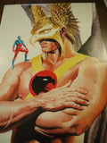 Poster Hawkman 2000 Alex Ross - Mycomicshop.be