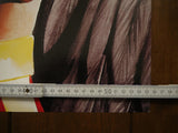 Poster Hawkman 2000 Alex Ross - Mycomicshop.be