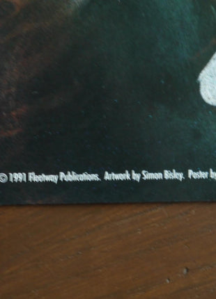 Poster Slaine 1991 Simon Bisley - Mycomicshop.be
