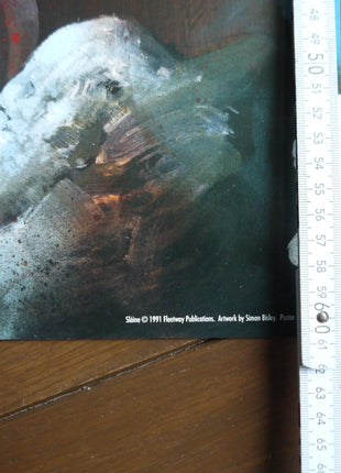 Poster Slaine 1991 Simon Bisley - Mycomicshop.be