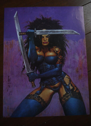 Poster Sword Girl by Simon Bisley - Mycomicshop.be