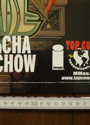 Poster Witchblade 2000 Cha, D - Tron and Firchow - Mycomicshop.be