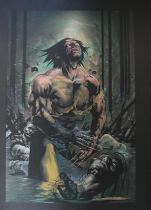 Poster Wolverine Dynamic Forces 25th anniversary 1999 Jae Lee - Mycomicshop.be