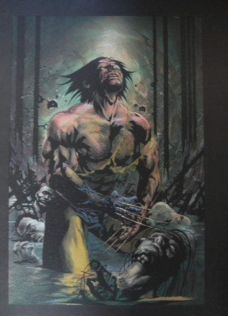 Poster Wolverine Dynamic Forces 25th anniversary 1999 Jae Lee - Mycomicshop.be