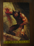 Poster Wolverine XIV 207 Glenn Barr 1995 - Mycomicshop.be