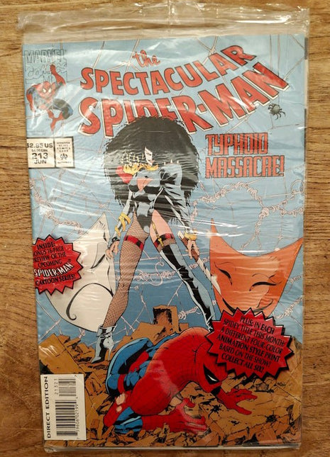 Spectacular Spider - Man (1976 1st Series) 213 - Mycomicshop.be