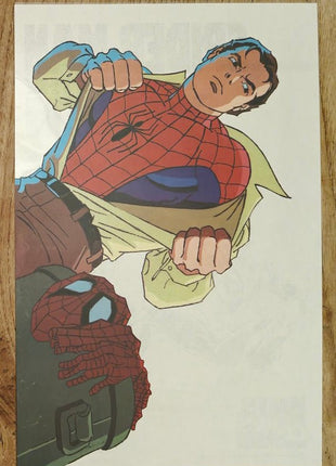 Spectacular Spider - Man (1976 1st Series) 213 - Mycomicshop.be