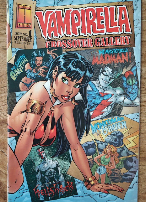 Vampirella Crossover Gallery (1997) 1 - Mycomicshop.be