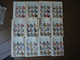 Wednesday Comics (2009 DC) Complete Set - Mycomicshop.be