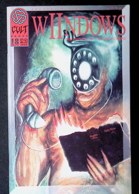 Wiindows (1993) #18 - Mycomicshop.be