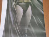 DC Direct Oversized Door Poster (22"x58") Batman (Alex Ross) - Mycomicshop.be