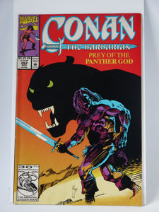 Conan the Barbarian (1970) #262 - Mycomicshop.be