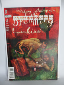 Dreaming (1996) #13 - Mycomicshop.be