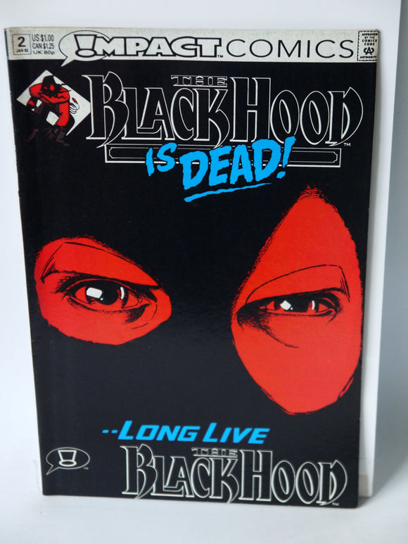 Black Hood (1991 Impact Comics) #2 - Mycomicshop.be