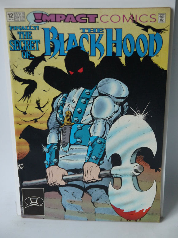 Black Hood (1991 Impact Comics) #12 - Mycomicshop.be