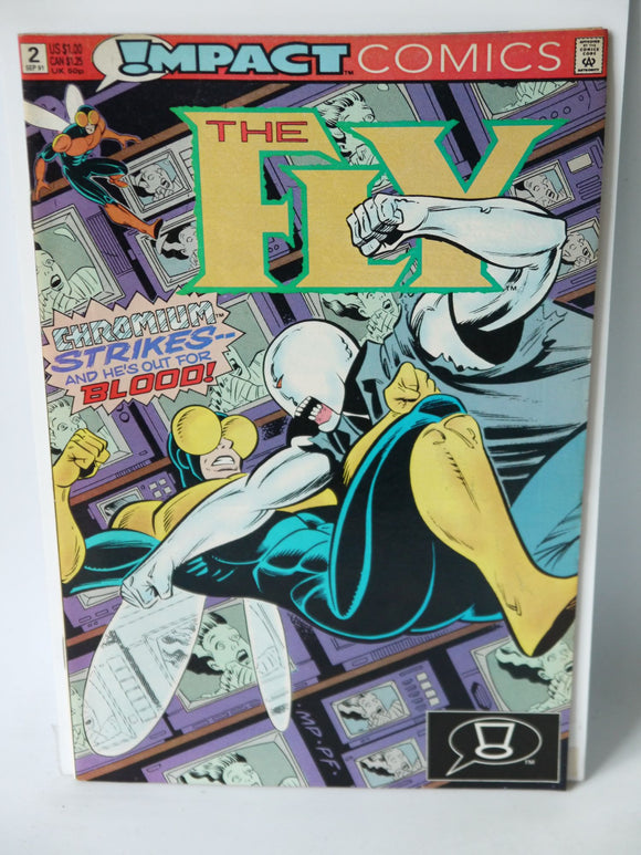 Fly (1991 Impact/DC) #2 - Mycomicshop.be