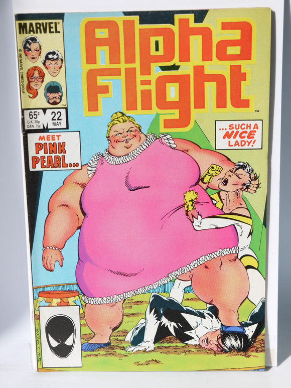 Alpha Flight (1983 1st Series) #22 - Mycomicshop.be
