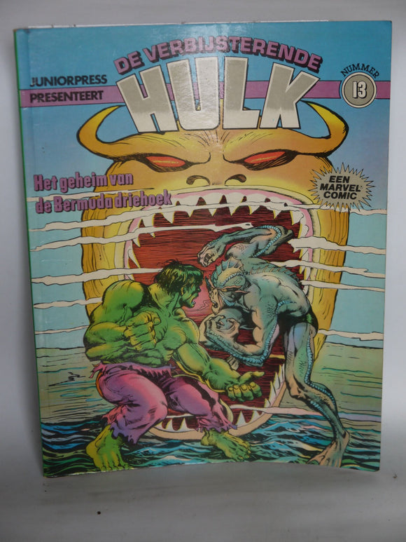 De Verbijsterende Hulk 13 - Mycomicshop.be