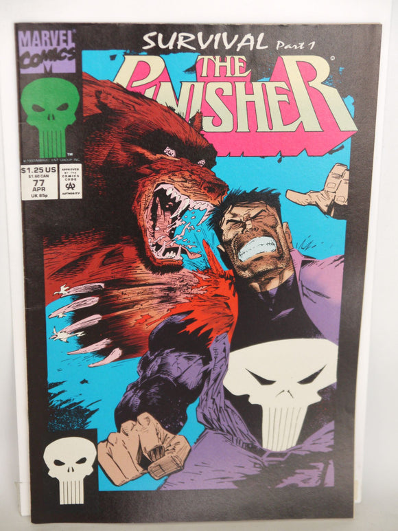 Punisher (1987 2nd Series) #77 - Mycomicshop.be