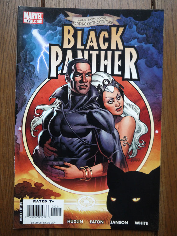 Black Panther (2005 3rd Series) #17 - Mycomicshop.be