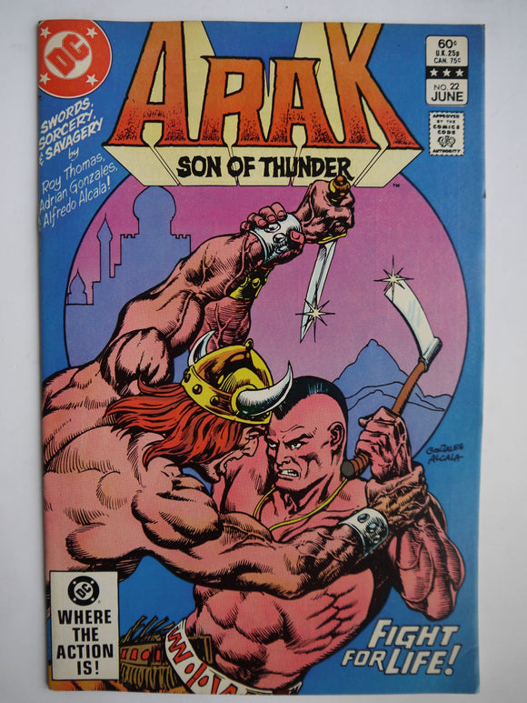 Arak Son of Thunder (1981) #22 - Mycomicshop.be
