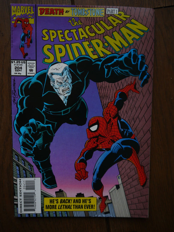 Spectacular Spider-Man (1976 1st Series) #204 - Mycomicshop.be