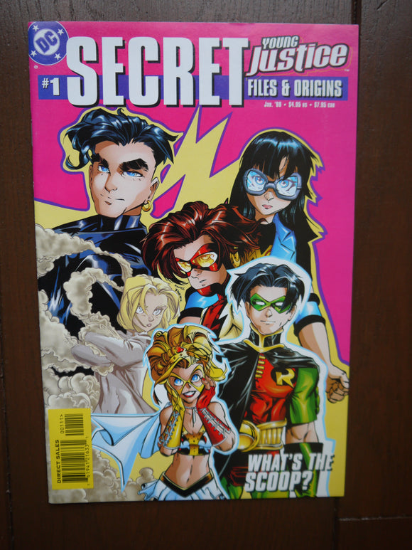 Young Justice Secret Files (1999) #1 - Mycomicshop.be