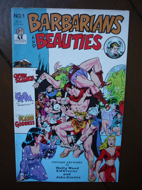Barbarians and Beauties (1990) #1 - Mycomicshop.be