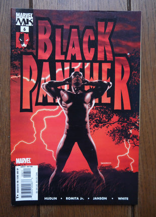 Black Panther (2005 3rd Series) #6 - Mycomicshop.be