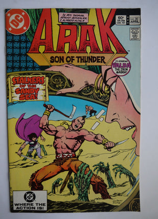 Arak Son of Thunder (1981) #20 - Mycomicshop.be