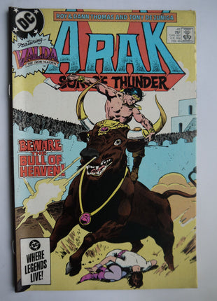 Arak Son of Thunder (1981) #41 - Mycomicshop.be