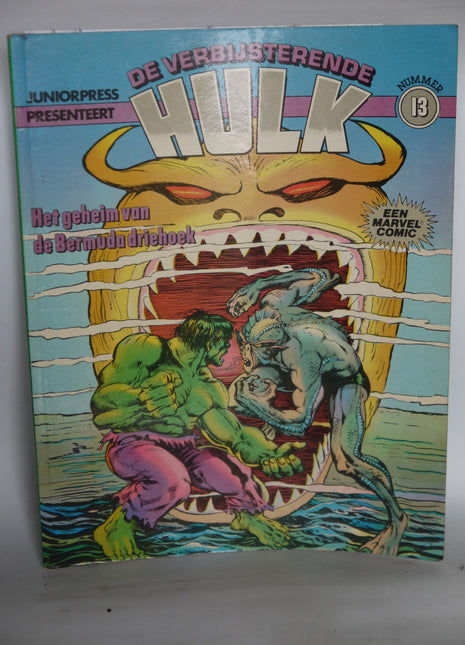 De Verbijsterende Hulk 13 - Mycomicshop.be