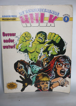 De Verbijsterende Hulk 9 - Mycomicshop.be